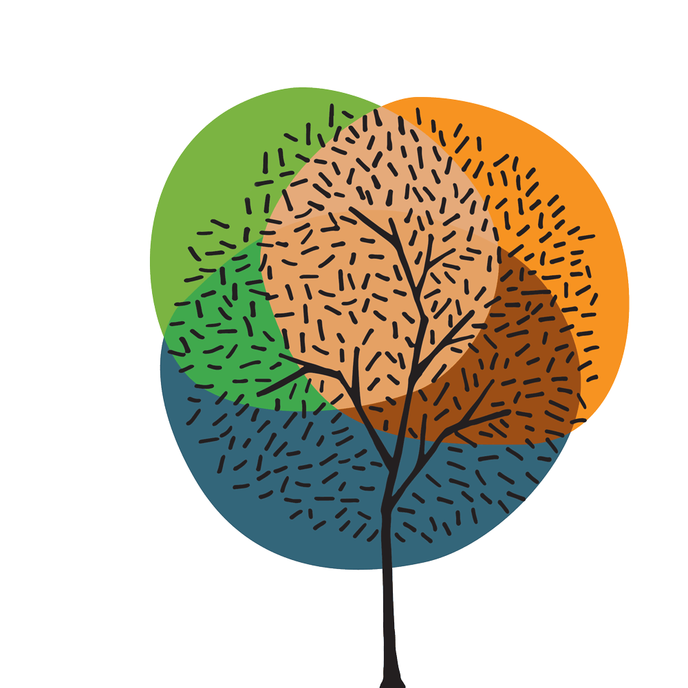 Impact Series Impact Series