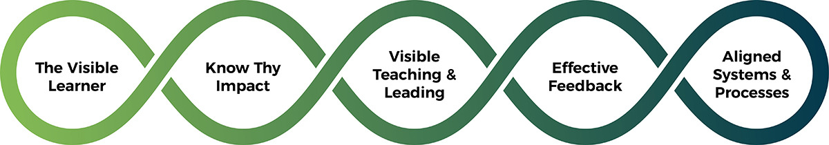 VL Strands VL Strands