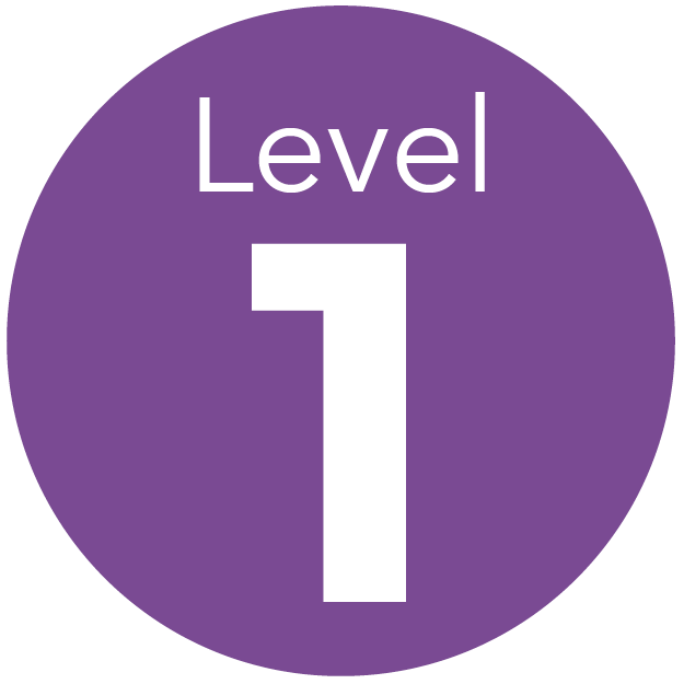 Level 1