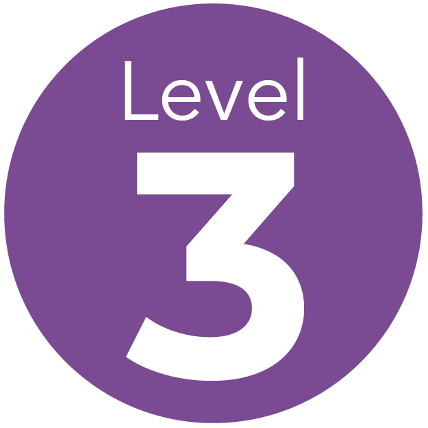 Level 3