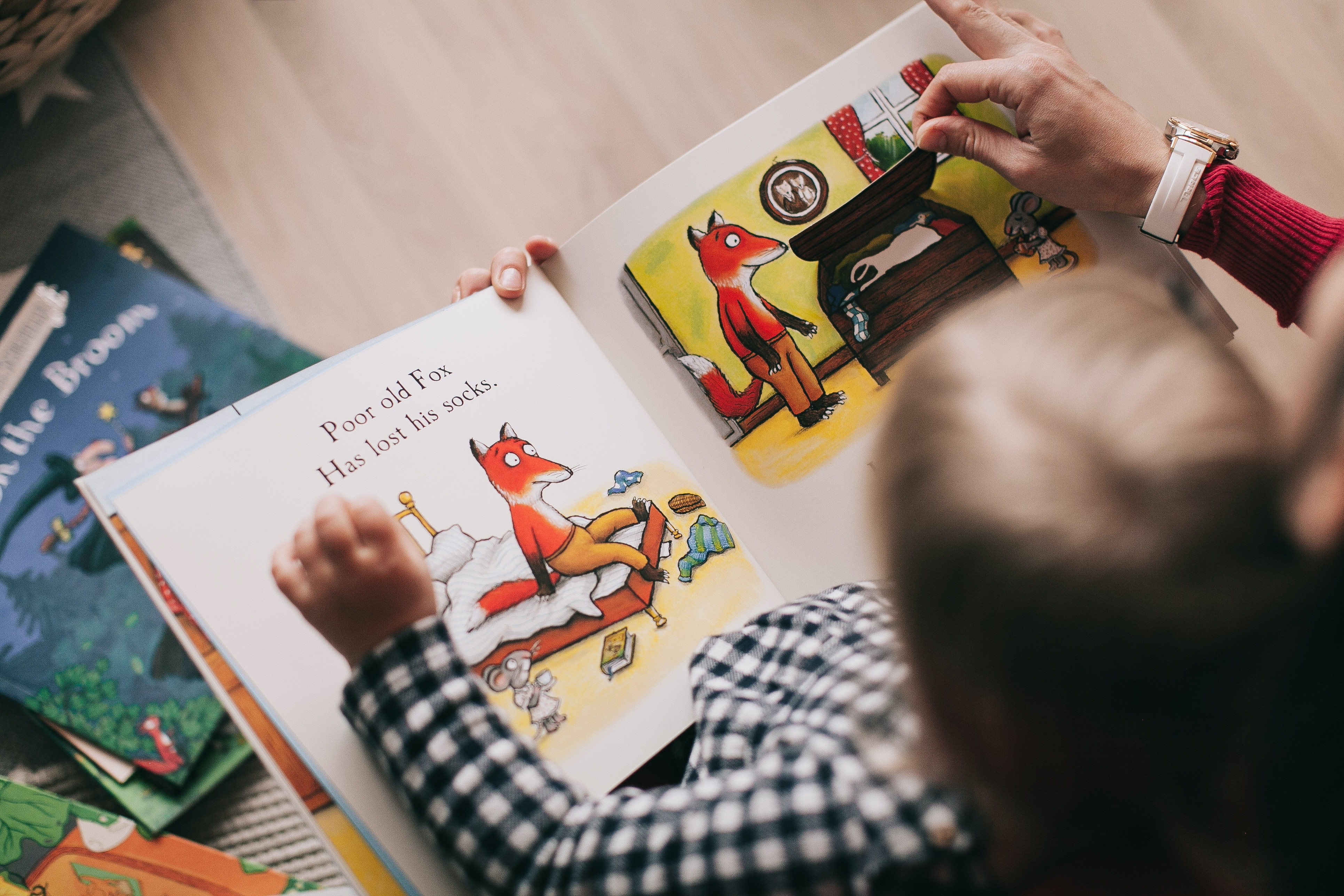 Image of a child reading a picture book