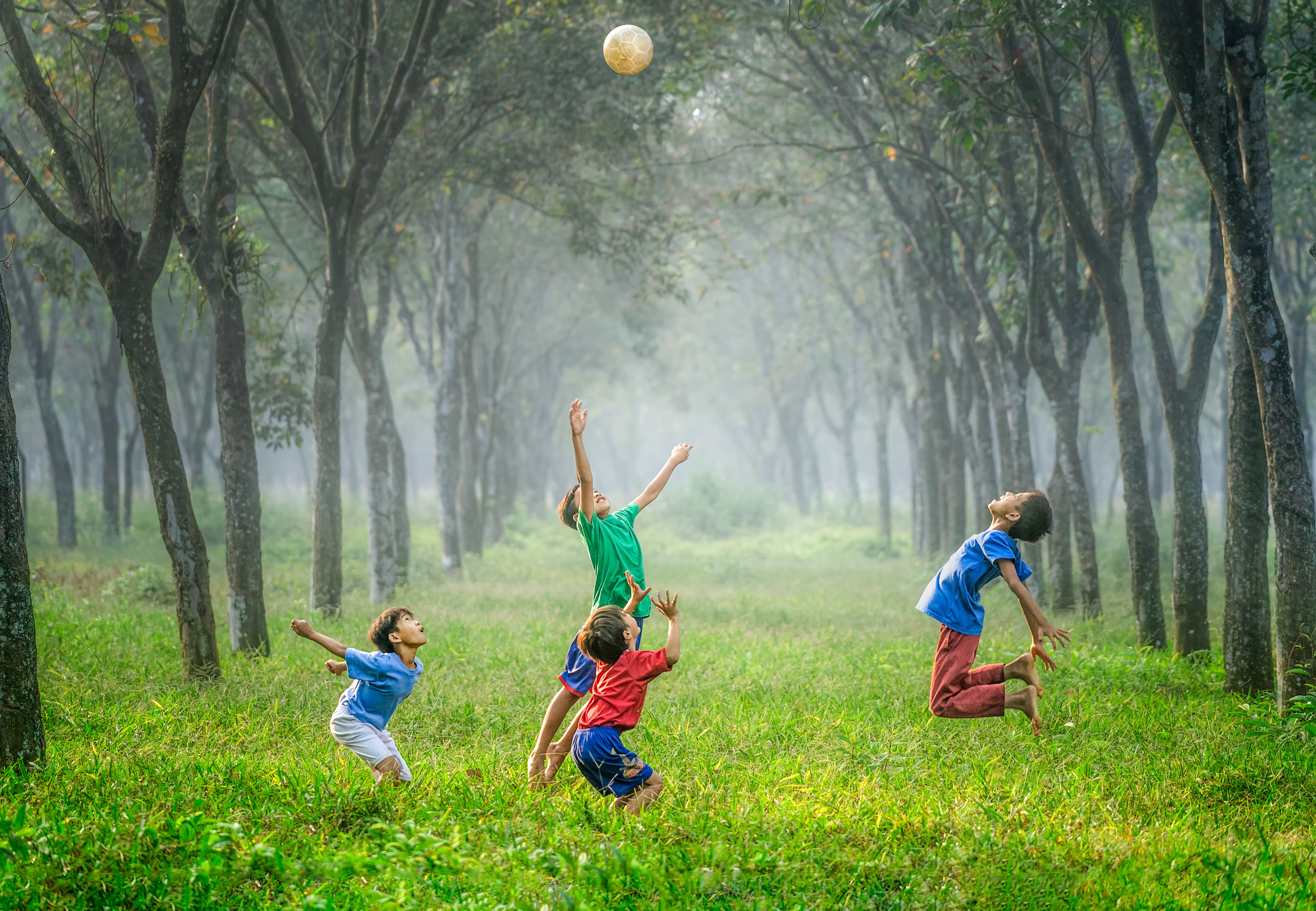 Four young boys playing in a forest