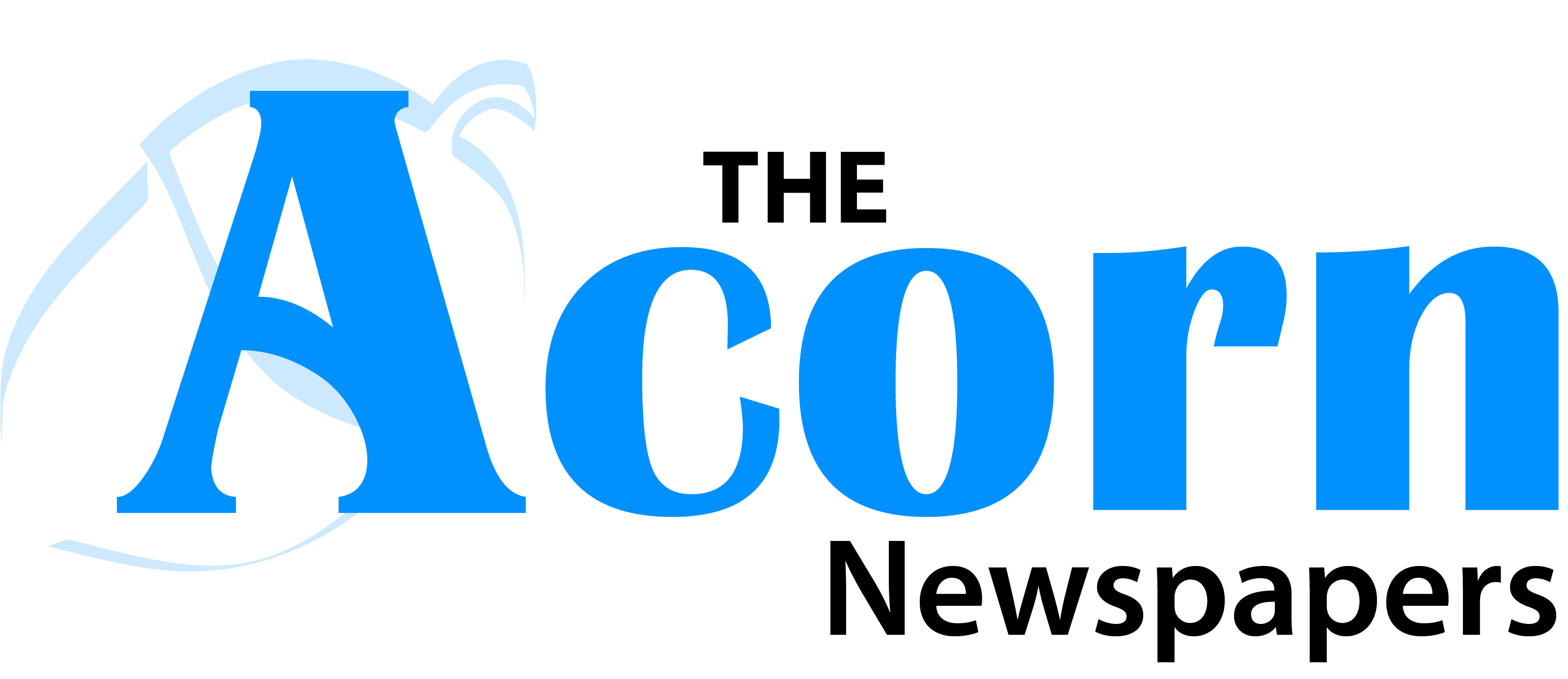 The Acorn Logo